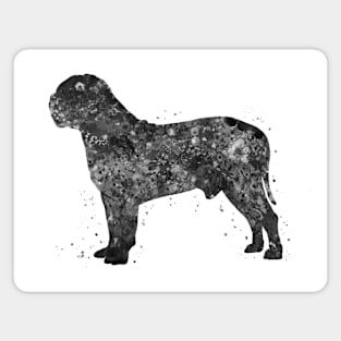 dogue de bordeaux dog black and white Magnet